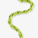 Crossbody Handykette MAUI
